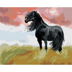 Diamondi - Diamantové malování - ČERNÝ KŮŇ NA LOUCE, 40x50 cm, Vypnuté plátno na rám