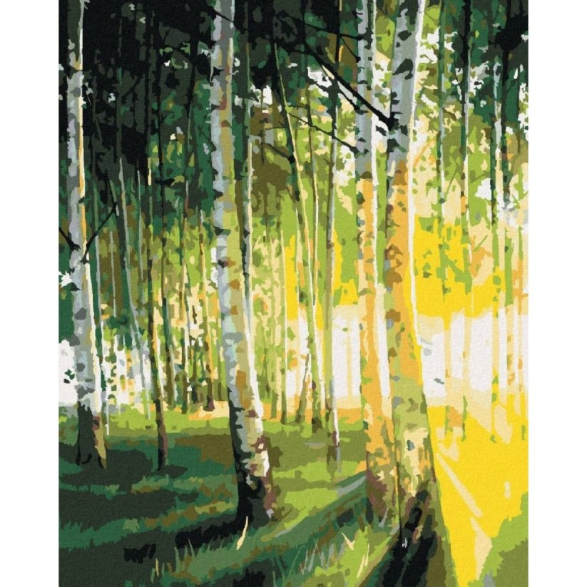 Diamondi Diamantové malování BŘÍZY V PROSVĚTLENÉM LESE 40 x 50 cm vypnuté plátno na rám